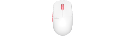 Custom Mice